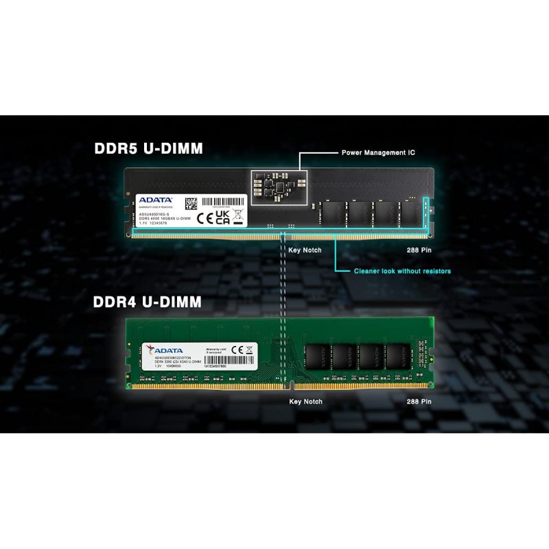 Memoria RAM Adata Premier DDR5 4800 MHz 8 GB CL40 | PcComponentes.it