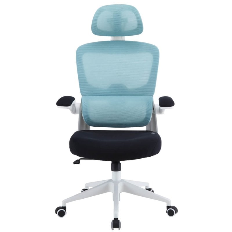 Image of Sedia da scrivania ergonomica Woxter Ergo Blu