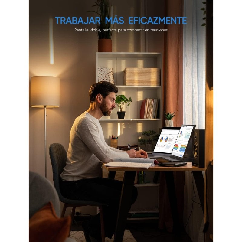 Monitor ARZOPA S1 Table 15.6