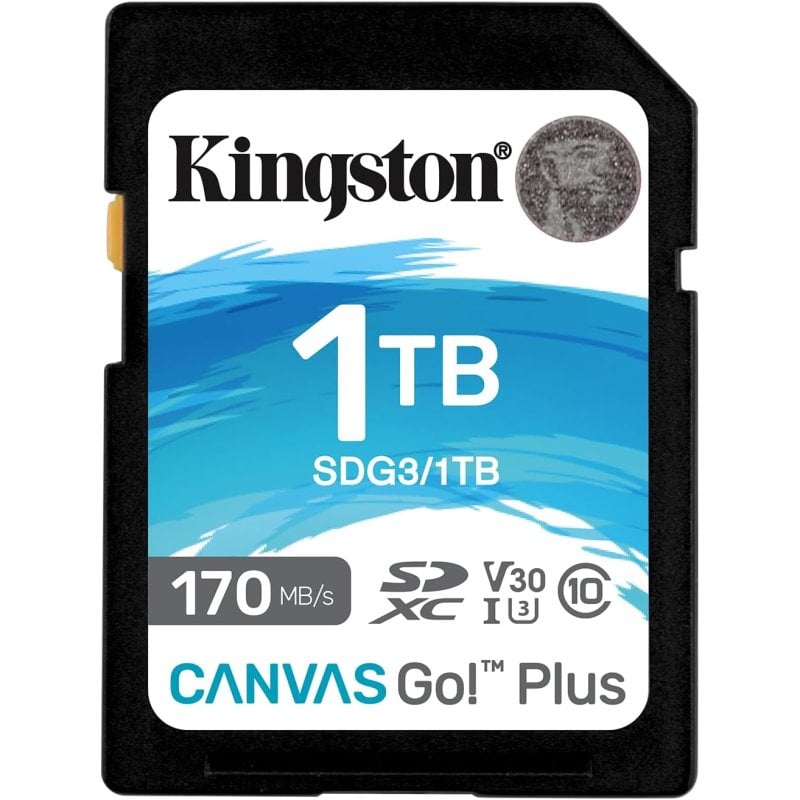 Image of Kingston Technology Canvas Vai! Più scheda SD UHS-I da 1 TB Classe 10