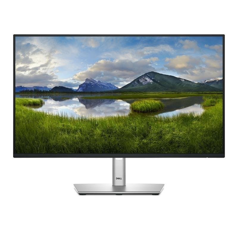 Monitor Dell P Series P2425H 23.8