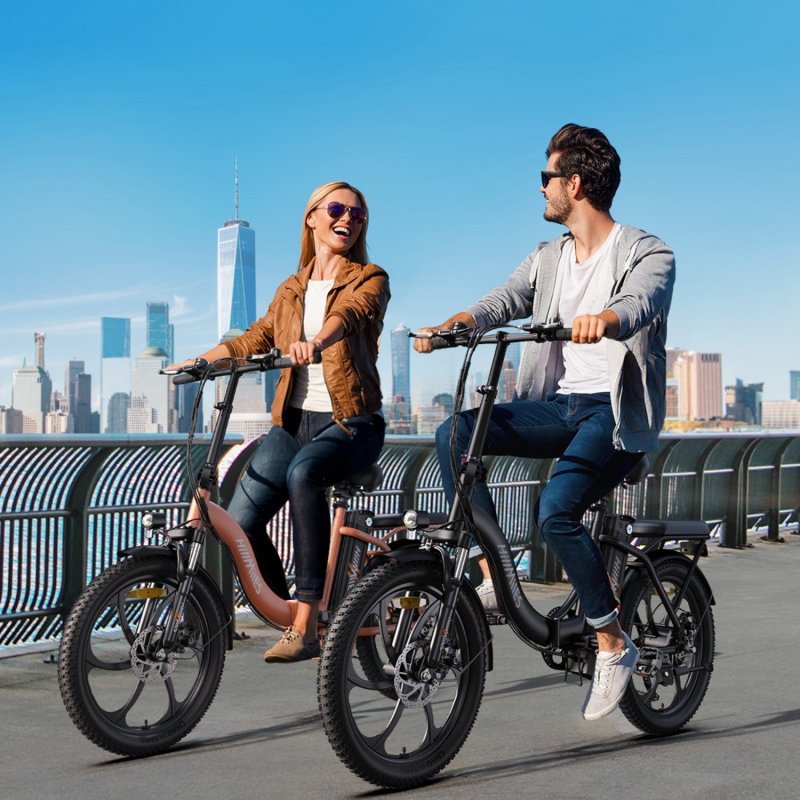 Hillmiles 20 Zoll 250W 36V 13ah vélo électrique en acier à haute teneur