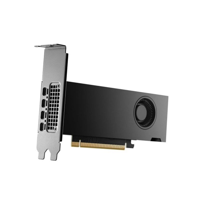 Image of Scheda Grafica PNY Nvidia Quadro RTX 2000 Ada Generation 16Go Scheda Grafica PNY Nvidia Quadro RTX 2000 Ada Generation 16Go cod079