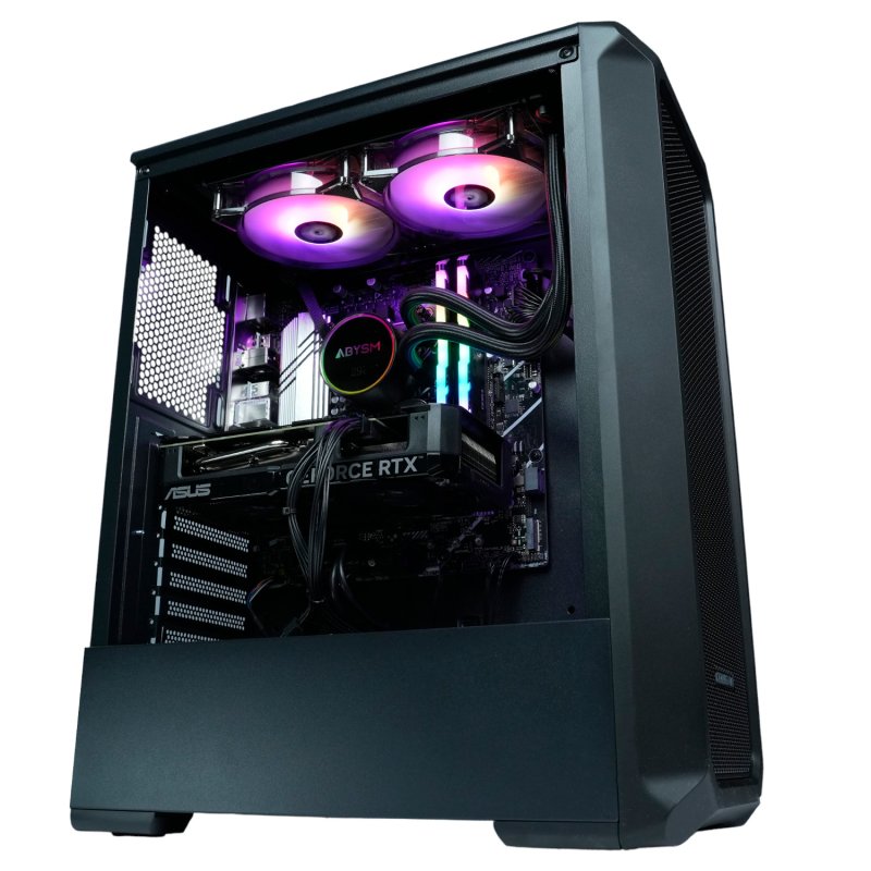 2922-epical-q-little-tallax-