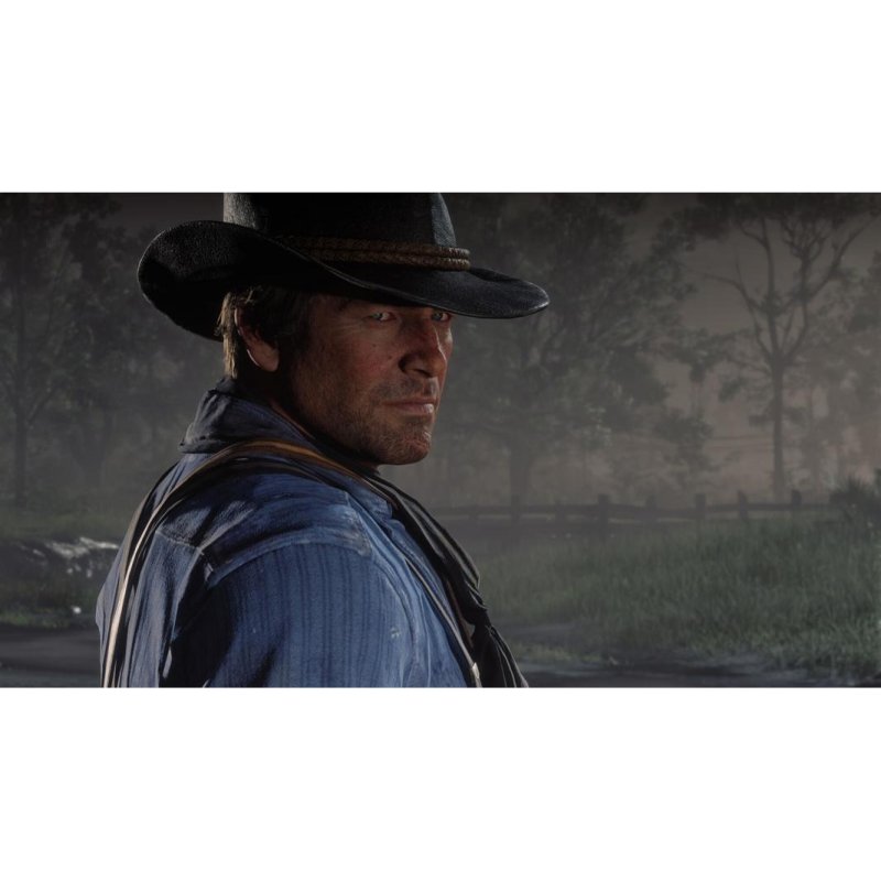 Jeu PC Rockstar Games Red Dead Redemption 2 - vue 1