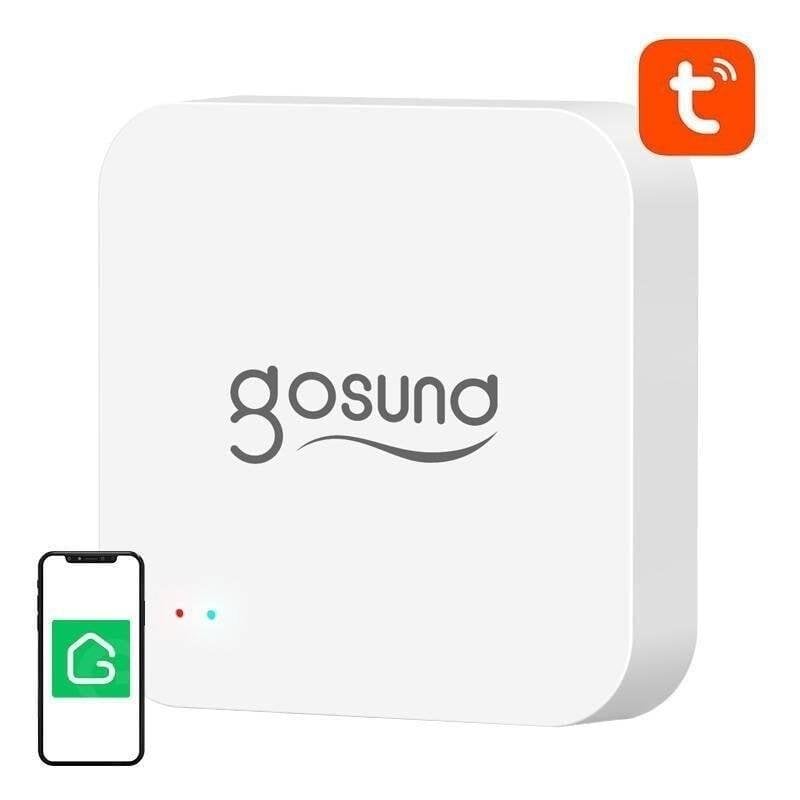 Central domótica Gosund G2 Wi-Fi/Bluetooth con Google Assistant y Alexa