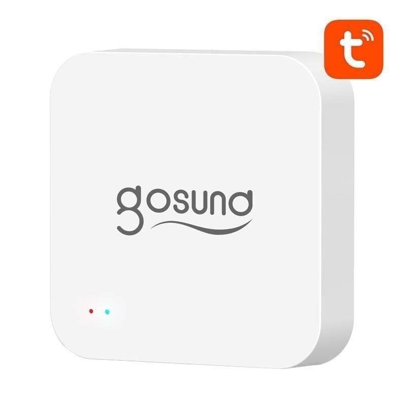 Hub domotique Gosund G2 Bluetooth/Wi-Fi compatible Google Assistant Alexa
