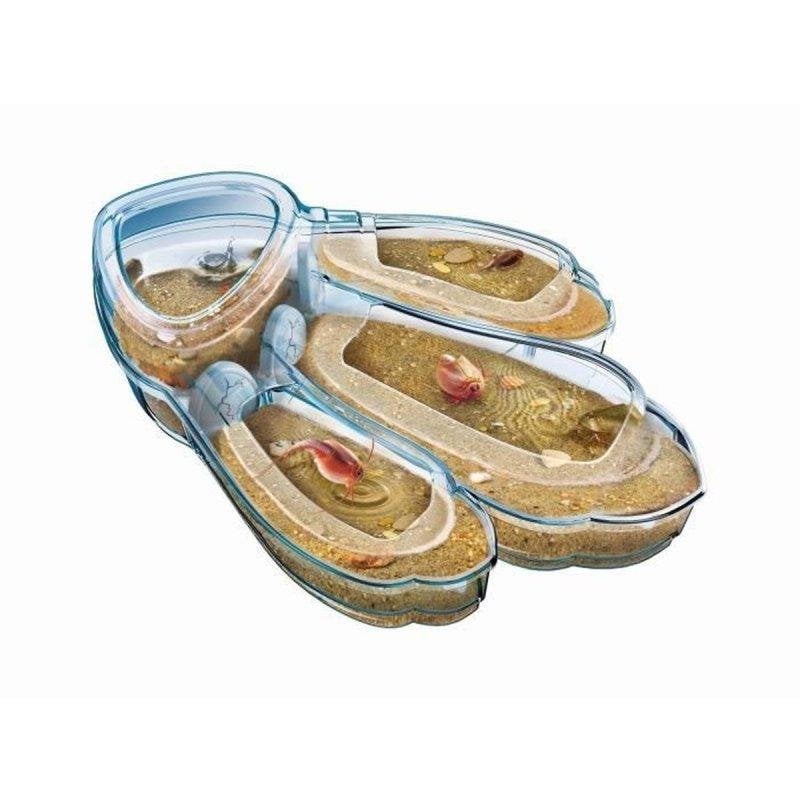 Kit Scientifique Clementoni 52565 – Triops, Élevage de Crustacés Préhistoriques, Dès 8 Ans - vue 7