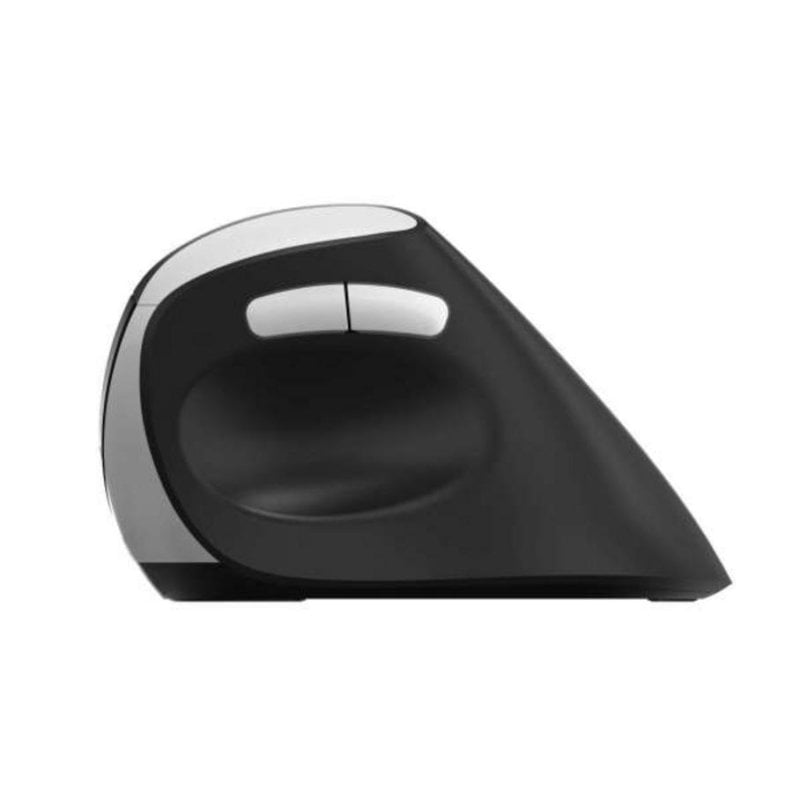 Ratón Rapoo EV250 RF sans fil 1600 DPI Noir Argent droitier