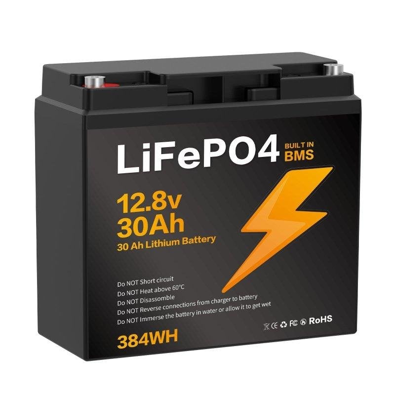 Batería de litio Blossom BZ0003-LFP-100Ah 12,8V IP67 BMS para energía autónoma