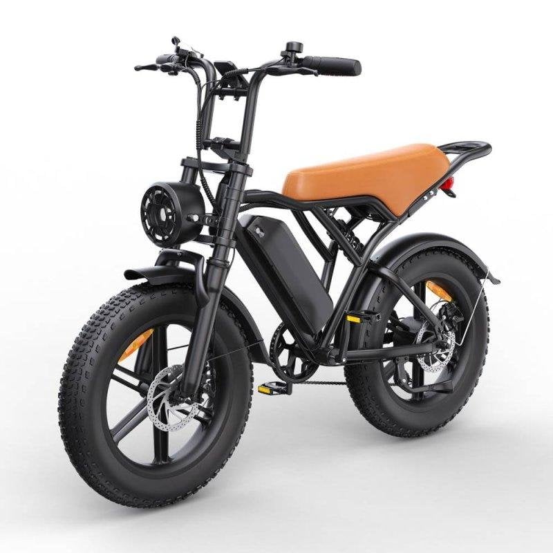 Bicicleta Eléctrica Toofly G20 250W 48V 15,6Ah 20×4