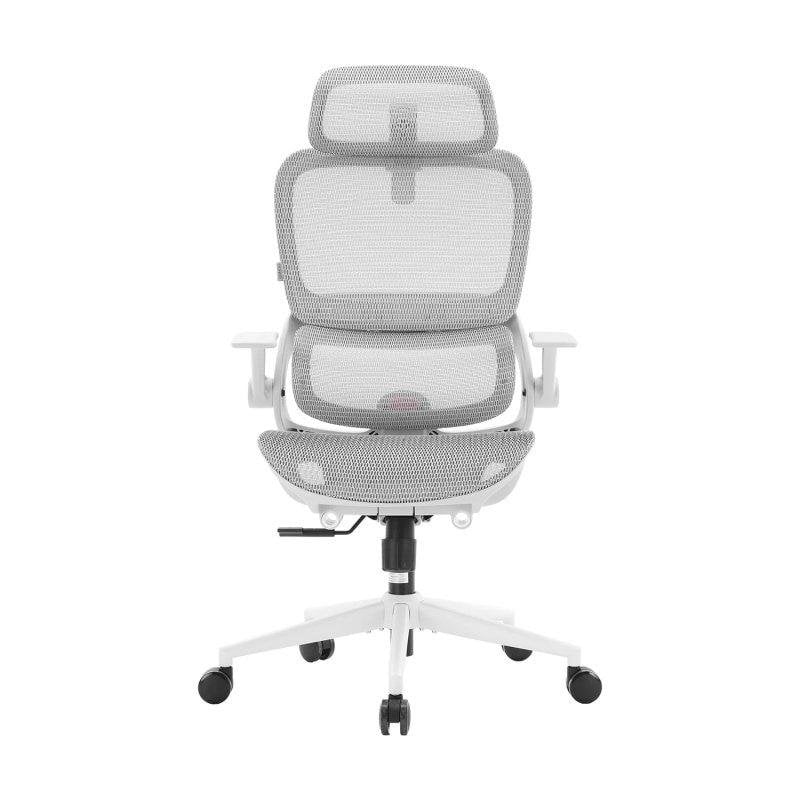 Silla Ergonómica Sihoo B100 Soporte Sacro 3 Inclinaciones Malla 150 kg Blanco