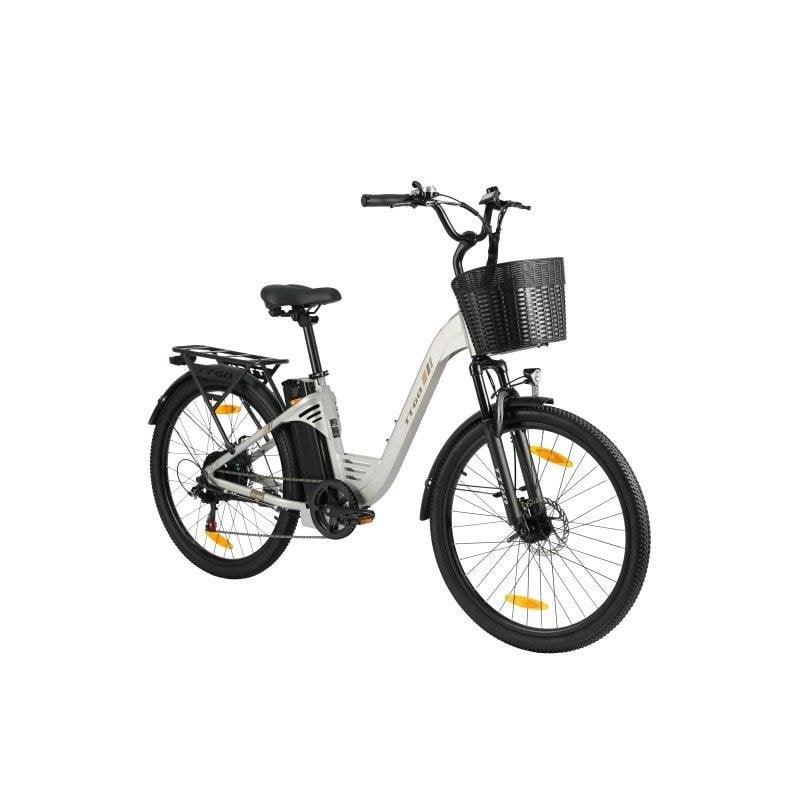 Elektrofahrrad TTGO C2 Pro 250 W 36 V 18 Ah 26 Zoll Aluminiumrahmen Shimano 7-Gang