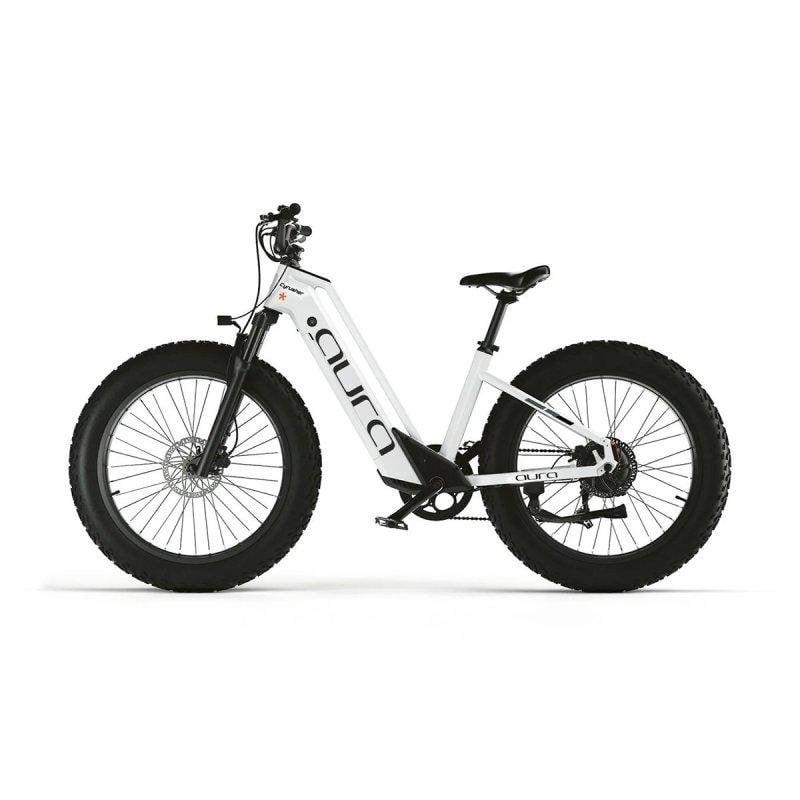 Velo Electrique tout-terrain Cyrusher Aura 52V 250W