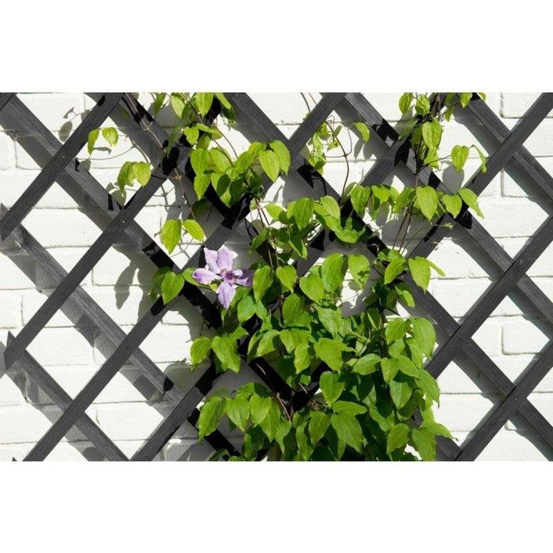 Ausziehbares Gartengeflecht Nature FSC Holz Anthrazit 50x150 cm Raute