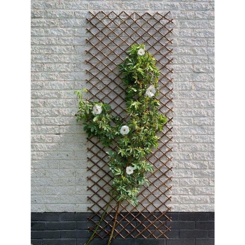 Ausziehbares Rankgitter Nature FSC Braun Metallstift 60x180