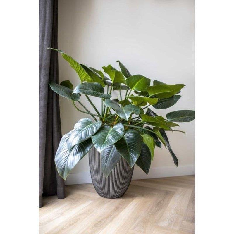 Blumenvase Capi Europe Groove NL Anthrazit 34x46 cm Recyceltes Polyethylen