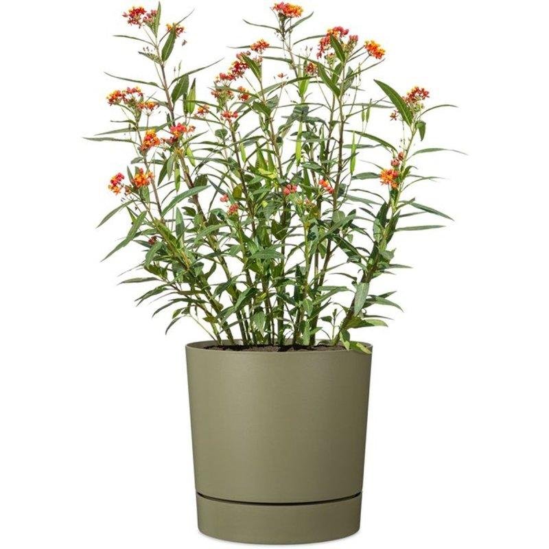 Topf Garden Id Plano Reserve Selbstbewasserung 14 L Diamater 29 cm Moosgrun