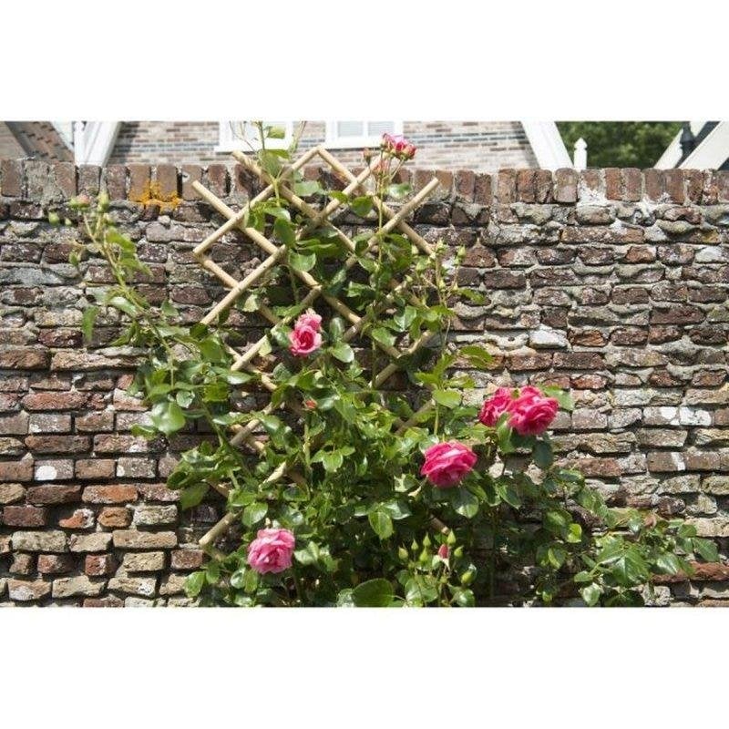 Erweiterbares Bambus-Rankgitter Nature 45 x 180 cm natürliche Optik