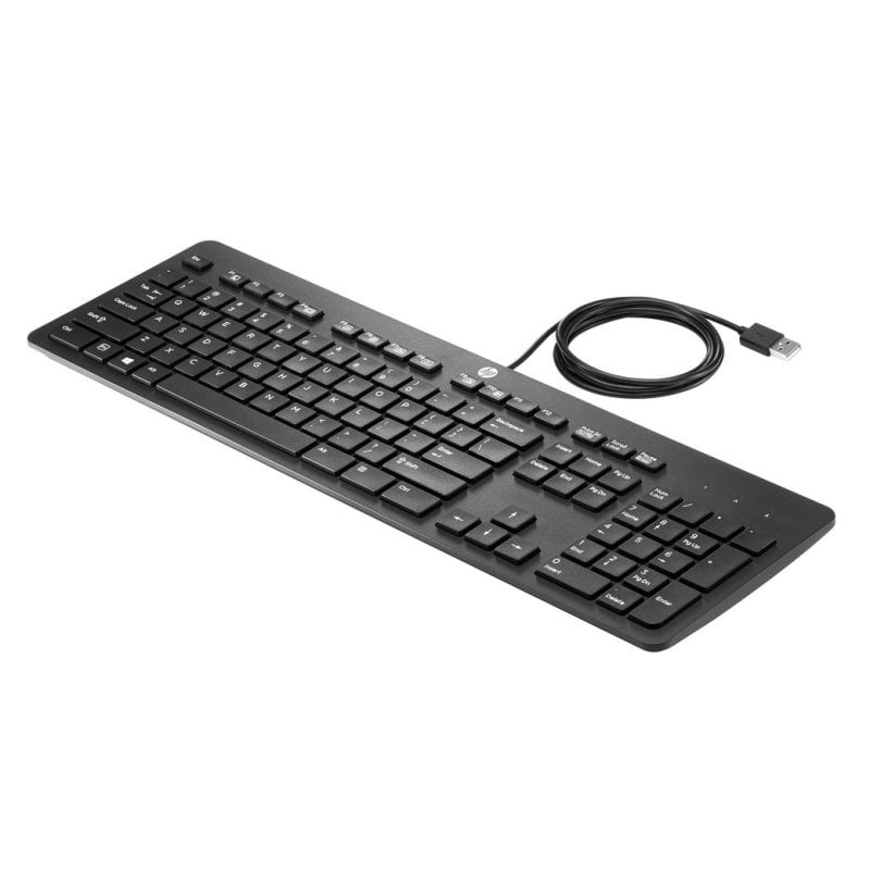 Clavier HP USB Business Slim Keyboard 100% filaire noir
