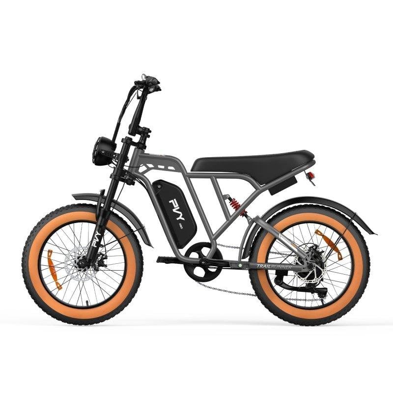 E-Bike PVY PVY A20 250W 48V 20Ah 80km Reichweite 20x4.0