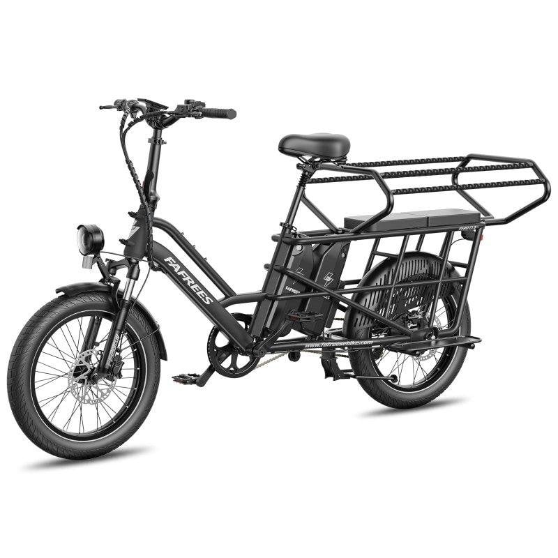 Velo Elettrico FAFREES FF20 CUV - Doppia Batteria 48V 12Ah