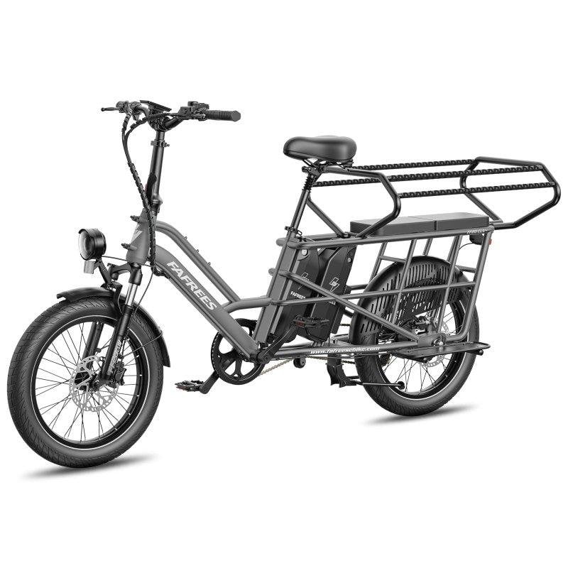 Bici Elettrica Fafrees FF20 CUV Doppia Batteria 48V 12Ah