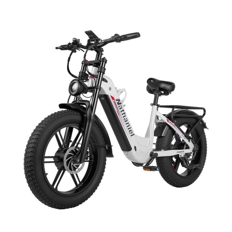Bicicletta elettrica Nathaniel SYR08 Doppio Motore 48V 20Ah Freni Idraulici 20"