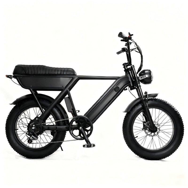 E-Bike Yangor Y20 Reifen Breit 20x4 und Akku 48V 15Ah