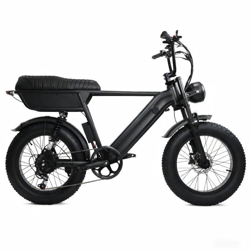 E-Bike Yangor Y20 Plus 48 V 15 Ah vollgefedert