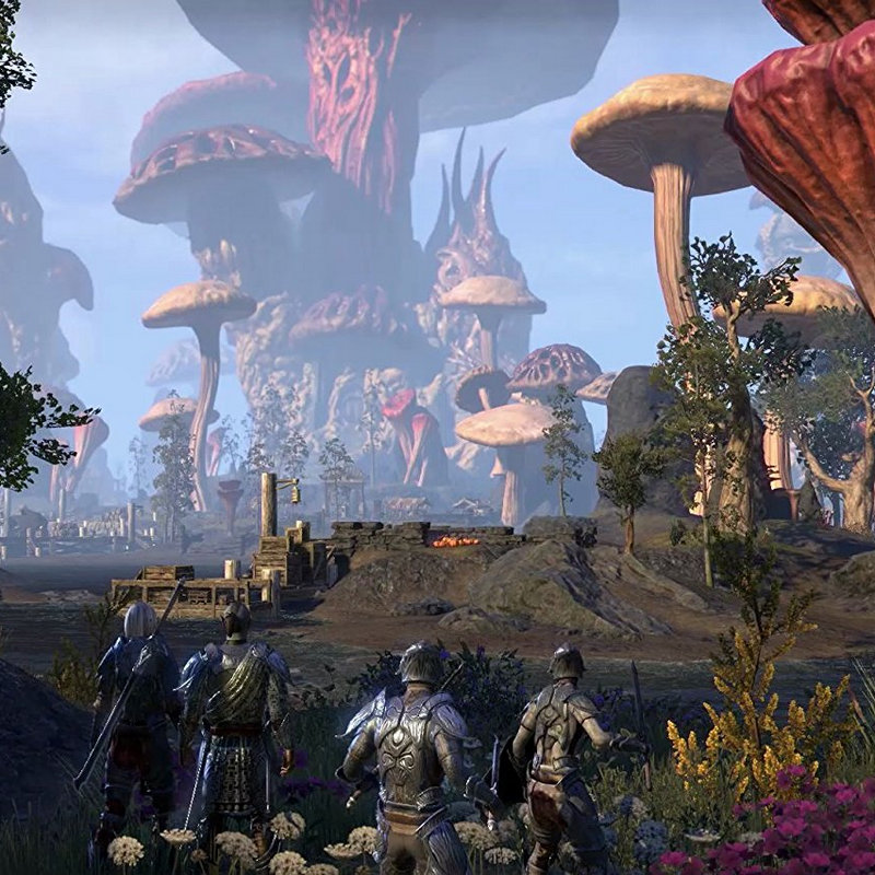 The Elder Scrolls Online: Morrowind - Xbox One - Version Française - Comme Neuf
