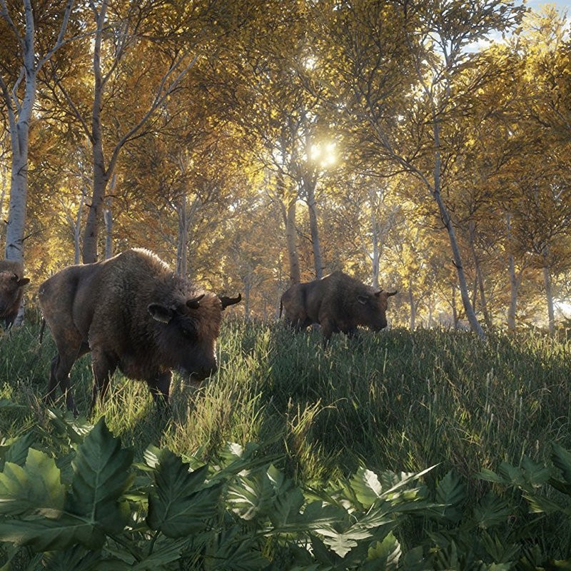The Hunter Call Of The Wild Ps4 Controls