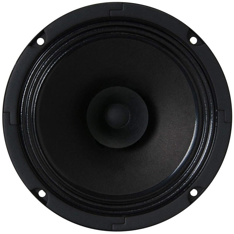 Image of Visaton BG 17 altoparlante Nero 40 W cod079