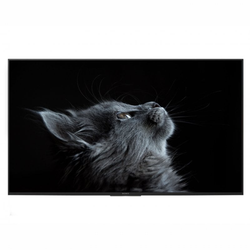 Televisor Sony Bravia FWD-55X80H/T 55" LED IPS UltraHD 4K HDR