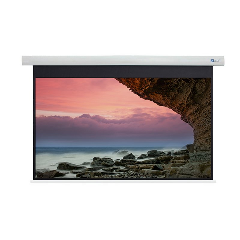 Celexon Deluxx Cinema Pantalla de Proyección Eléctrica 376x211cm 170