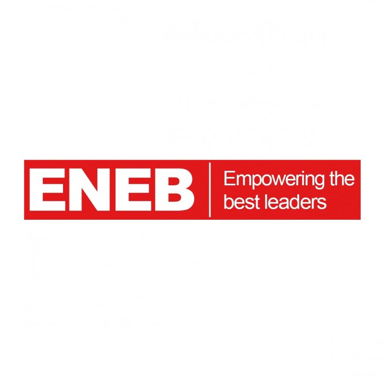 ENEB MBA + Máster en Big Data y Business Intelligence (Certificación ...