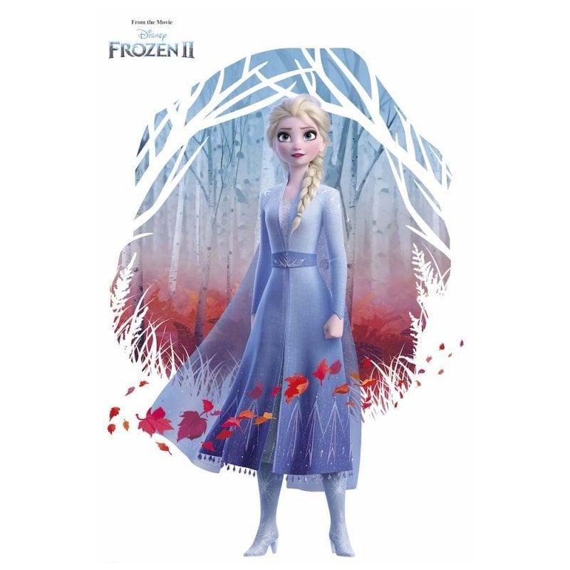 Erik Maxi Póster Disney Frozen Elsa 91.5x61cm