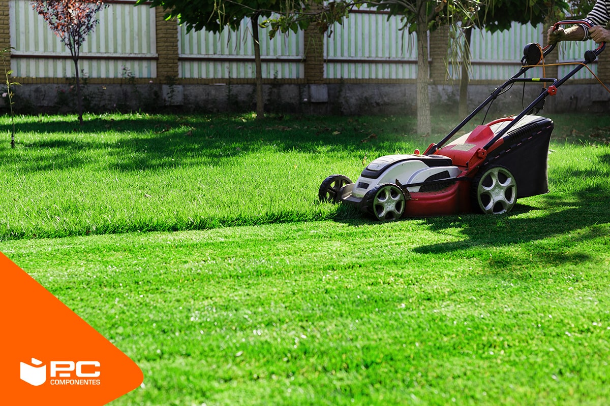 Einer der besten Rasenmäher in einem Garten Einer der besten Rasenmäher in einem Garten