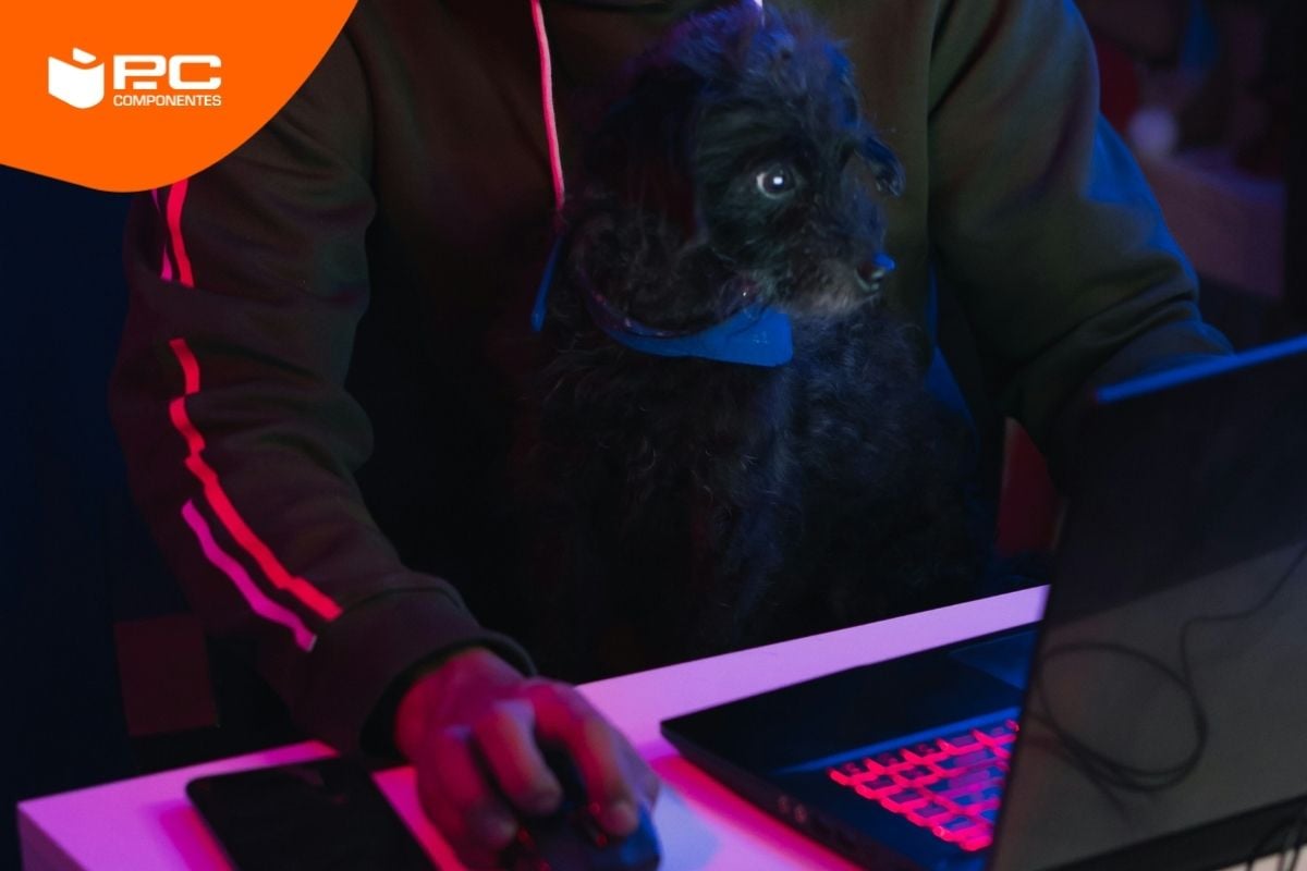 Un chico y su perro con uno de los mejores ordenadores portátiles para hacer streaming calidad precio Un chico y su perro con uno de los mejores ordenadores portátiles para hacer streaming calidad precio