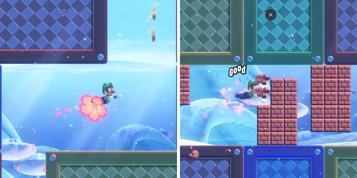 Insignia Impulso Delfín en Super Mario Bros. Wonder