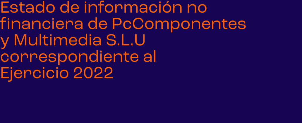 Estado no financiero