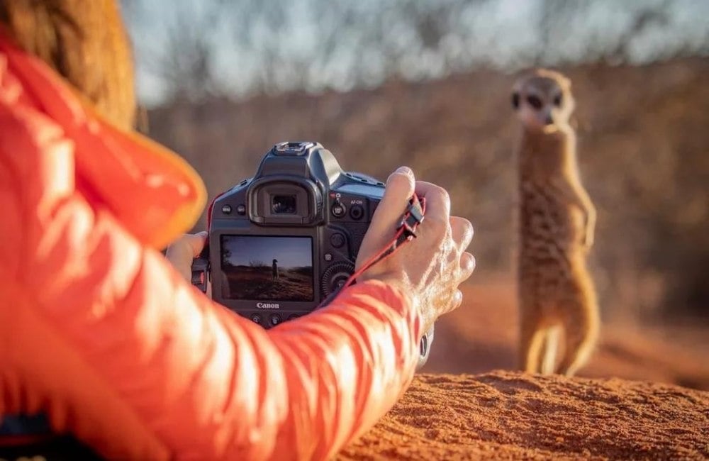 cámaras para fotografía deportiva