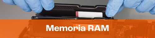 ram
