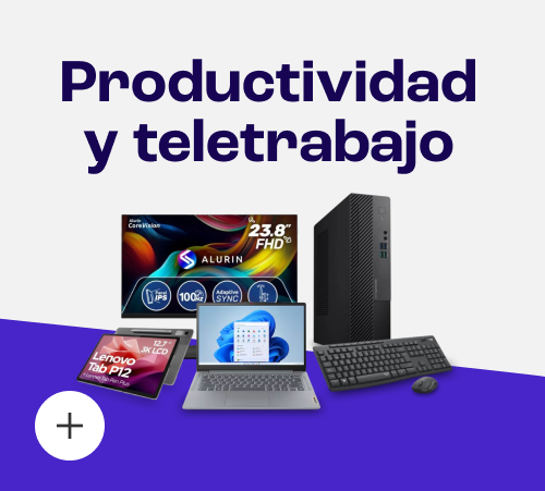 Productividad y Teletrabajo
