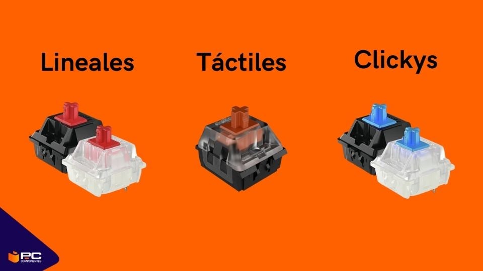 switches teclados