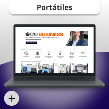 portátiles para profesionales