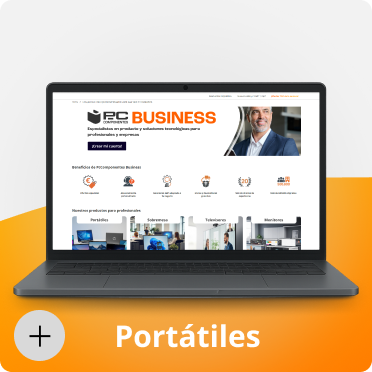 portátiles para profesionales