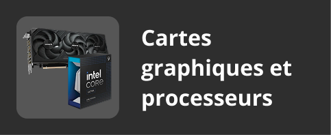Graphiques et processeurs