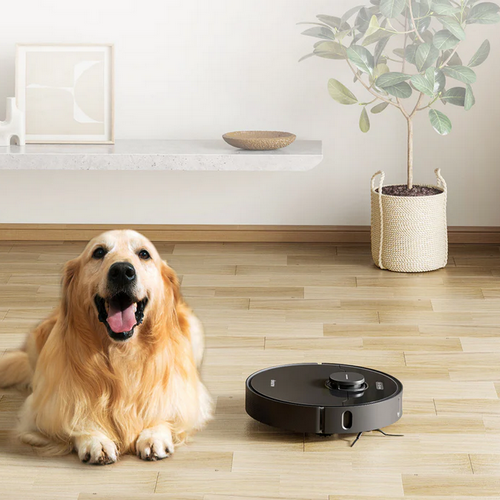 Aspiradoras y limpieza