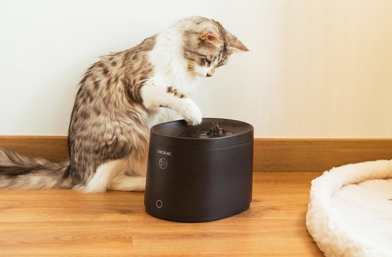 Bebederos automáticos